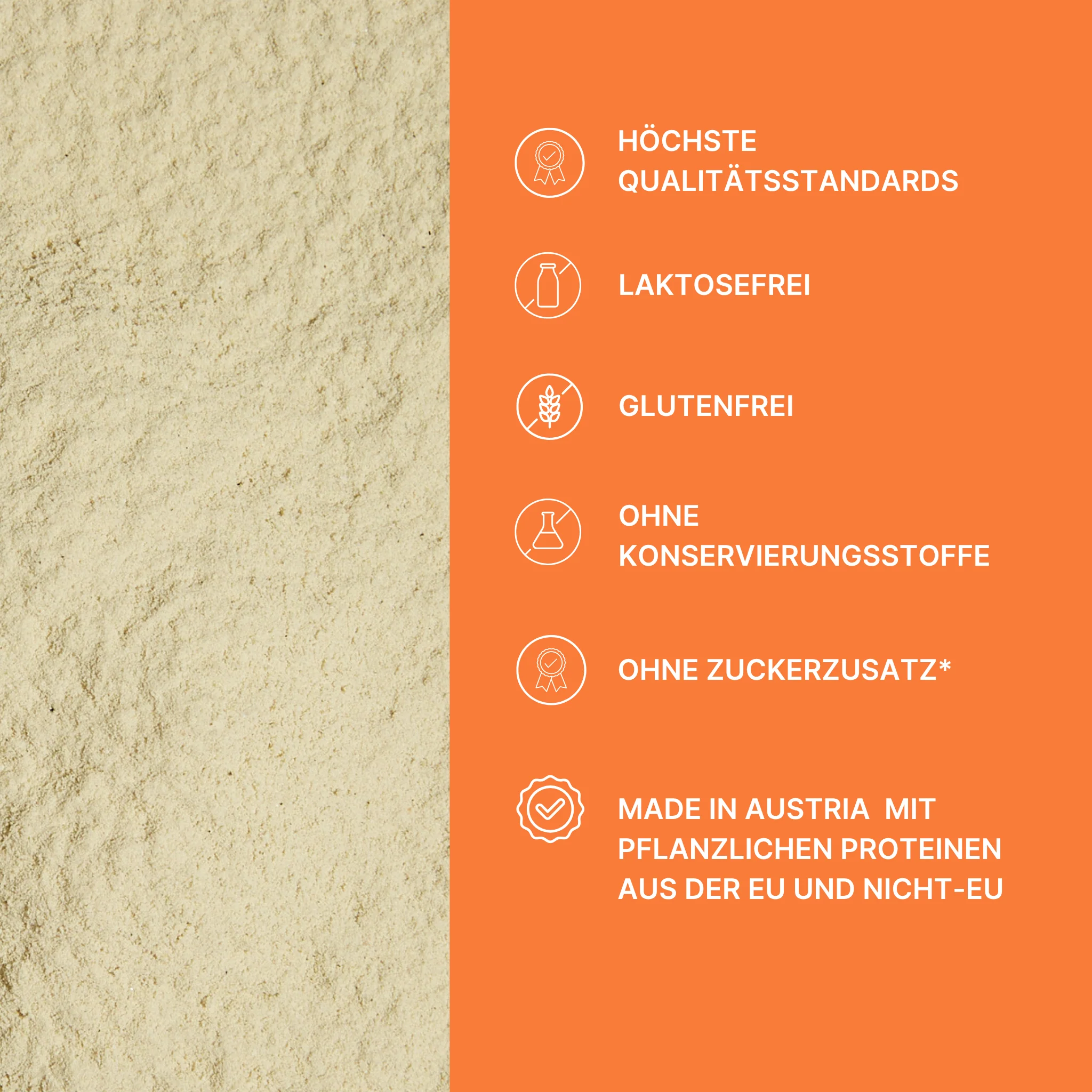 DAILY PROTEIN - Image 5